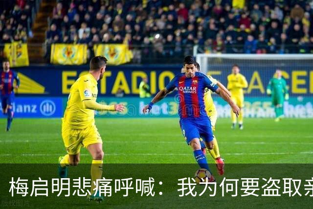 梅启明悲痛呼喊：我为何要盗取亲妹的骨灰？